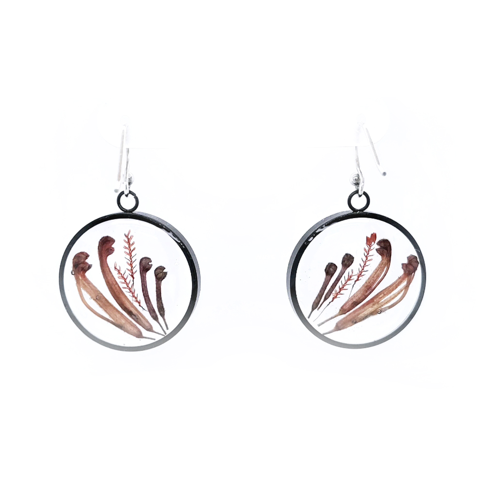 BOTANIGEM Graceful Grevillea Earrings
