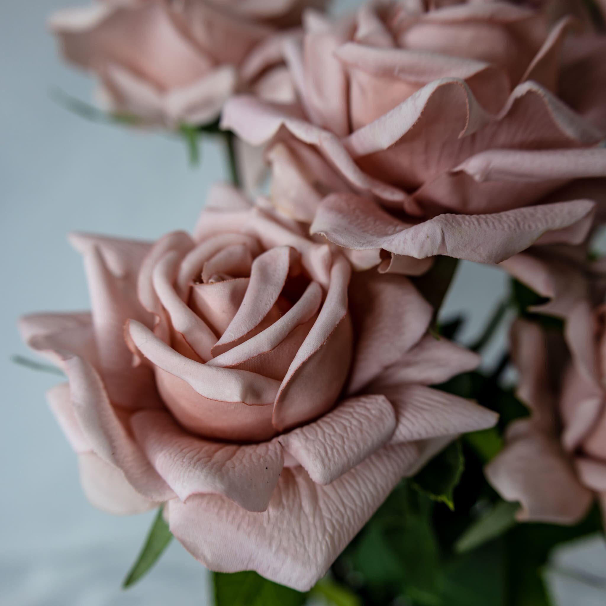 Dusty Pink Rose Real Touch Full Bloom  - Realistic Artificial Flowers