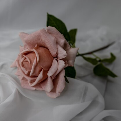 Dusty Pink Rose Real Touch Full Bloom  - Realistic Artificial Flowers