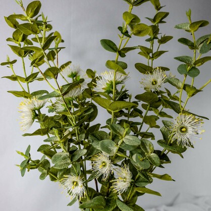 White Flowering Gum Blossom - Realistic Artificial Flowers