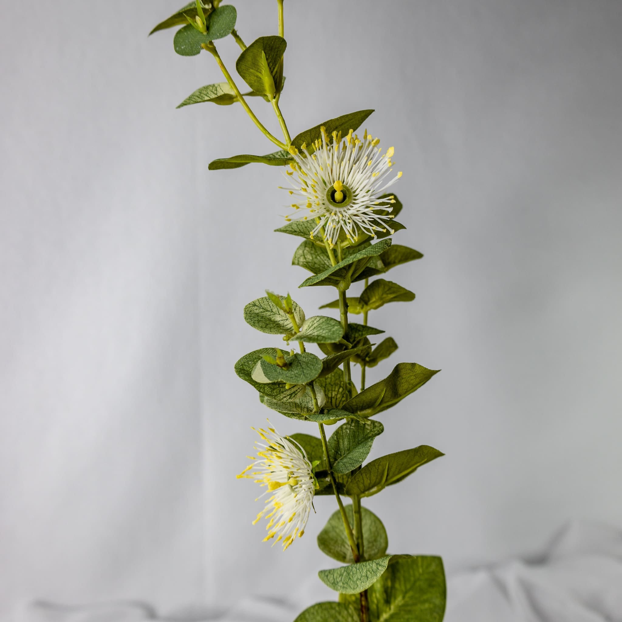 White Flowering Gum Blossom - Realistic Artificial Flowers