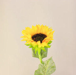 Sunflowers Real Touch- Realistic Artificial Flowers