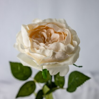 Blush Pink Real Touch David Austin Half Bloom Rose - Realistic Artificial Flowers