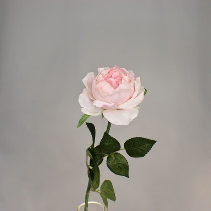 Light Pink David Austin Half Bloom Rose - Realistic Artificial Flowers