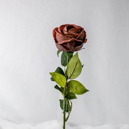 Coffee David Austin Real Touch Open Bud Rose - Realistic Artificial Flowers