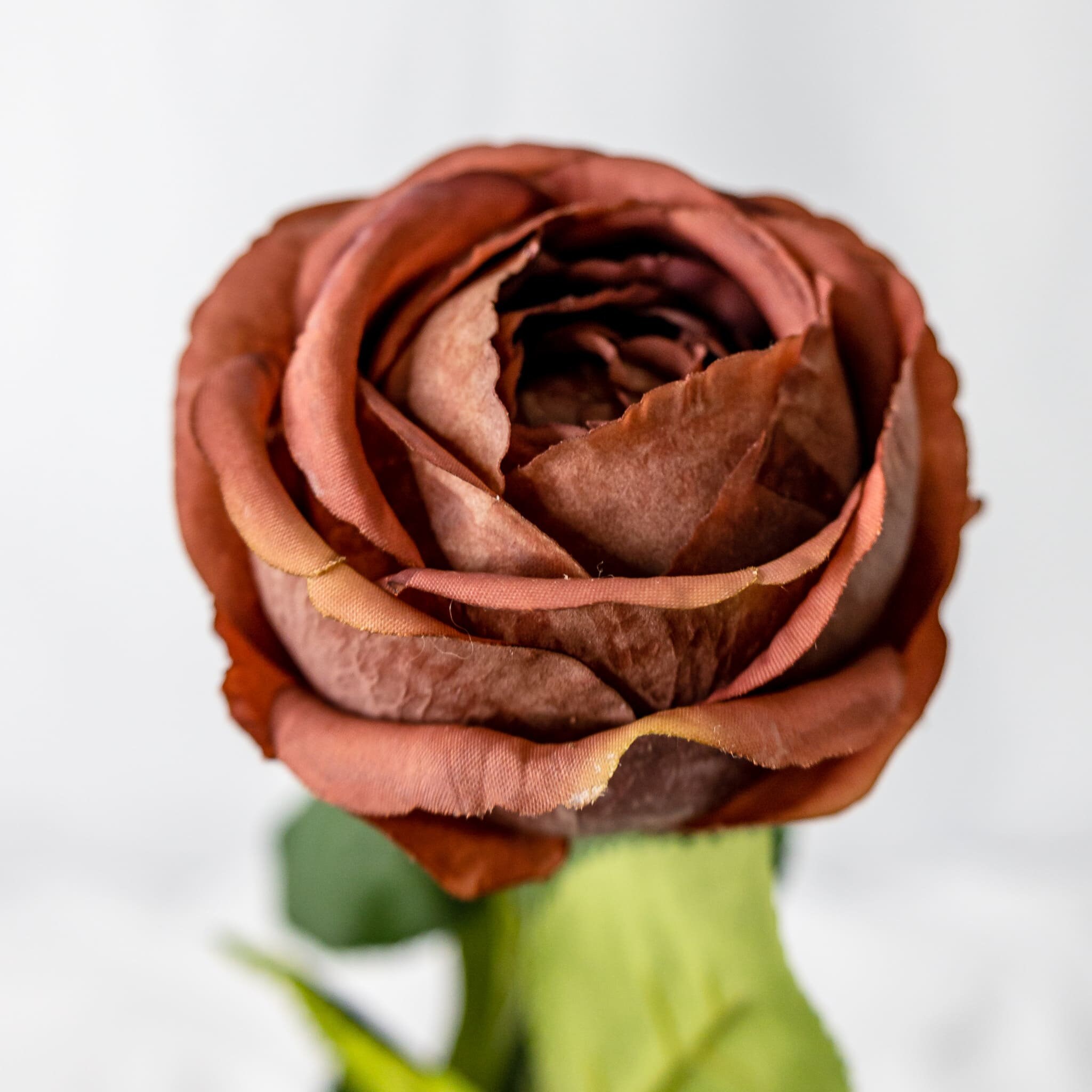 Coffee David Austin Real Touch Open Bud Rose - Realistic Artificial Flowers