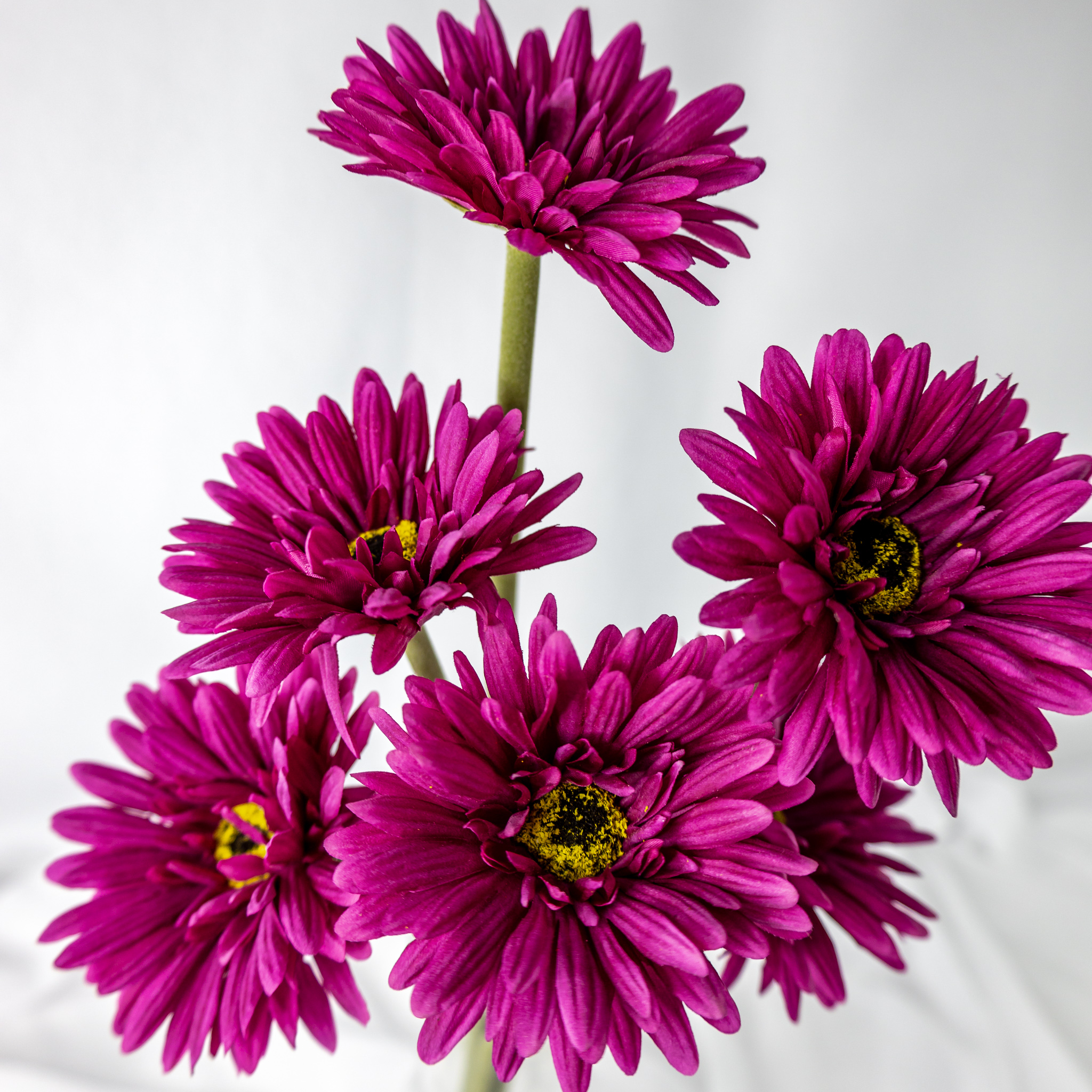 Magenta Real Touch Gerbera - Realistic Artificial Flowers