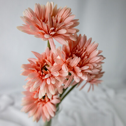 Pale Pink Real Touch Gerberas - Realistic Artificial Flowers