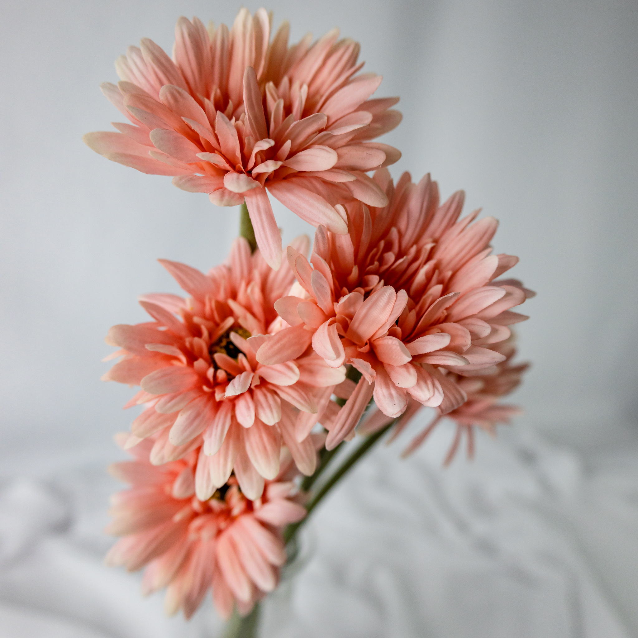 Pale Pink Real Touch Gerberas - Realistic Artificial Flowers