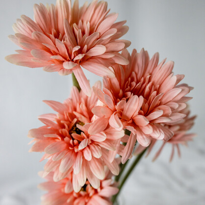 Pale Pink Real Touch Gerberas - Realistic Artificial Flowers