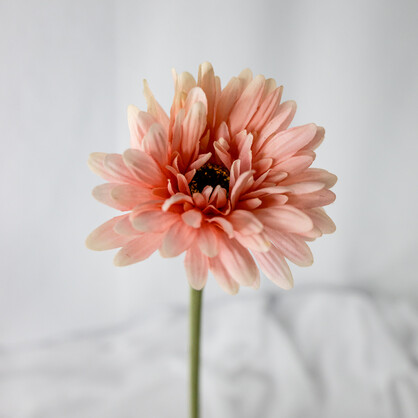 Pale Pink Real Touch Gerberas - Realistic Artificial Flowers