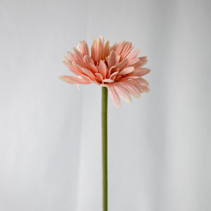 Pale Pink Real Touch Gerberas - Realistic Artificial Flowers