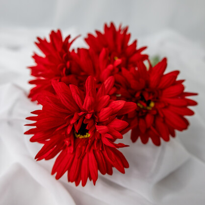 Red Gerbera -Real Touch - Realistic Artificial Flowers