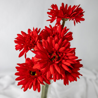Red Gerbera -Real Touch - Realistic Artificial Flowers