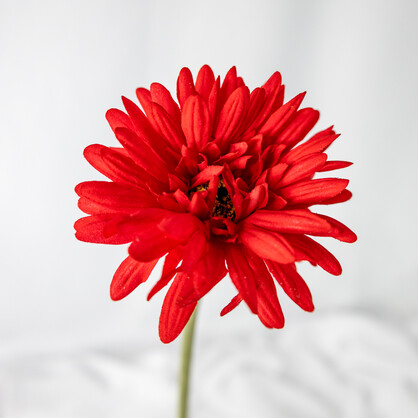 Red Gerbera -Real Touch - Realistic Artificial Flowers