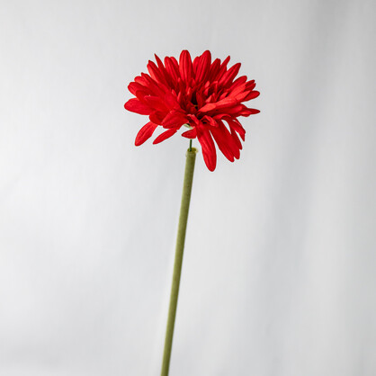 Red Gerbera -Real Touch - Realistic Artificial Flowers
