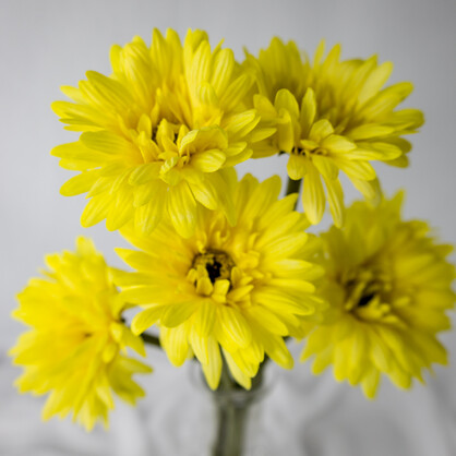 Yellow Real Touch Gerbera - Realistic Artificial Flowers