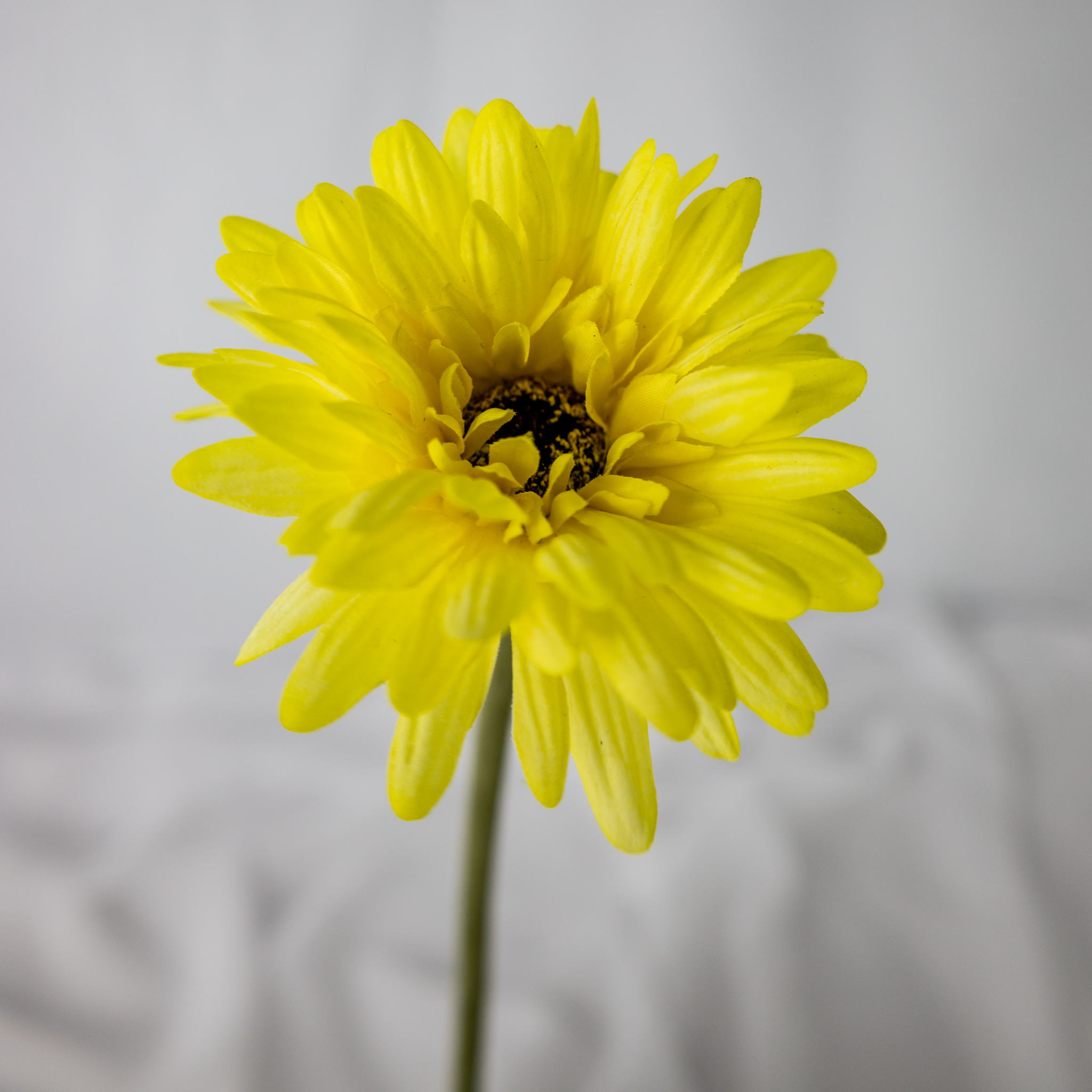 Yellow Real Touch Gerbera - Realistic Artificial Flowers