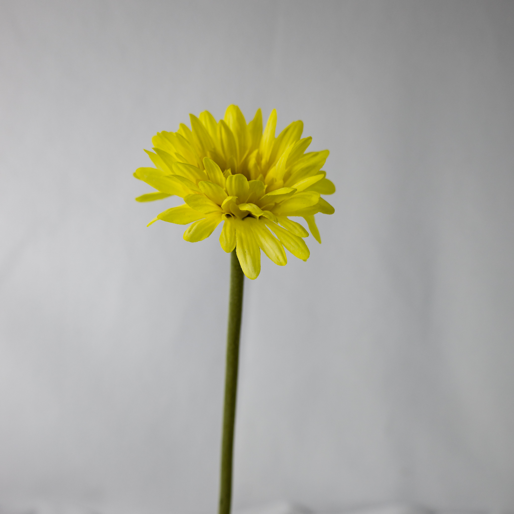 Yellow Real Touch Gerbera - Realistic Artificial Flowers