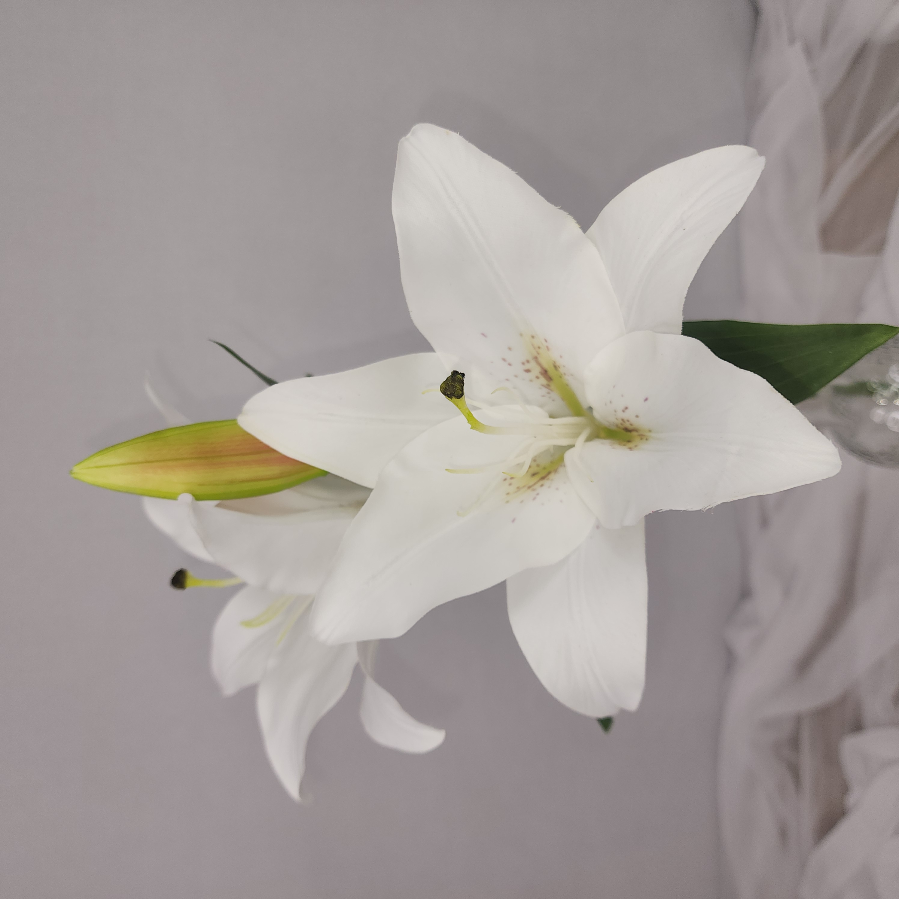 White Oriental Lily - Realistic artificial flowers, real touch