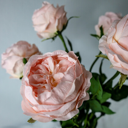 Pink David Austin Soft Touch Open Bloom Rose - Realistic Artificial Flowers