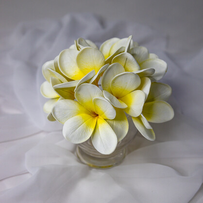 White Yellow Frangipani Flowerhead ( 6 Pack )  - Realistic Artificial Flowers