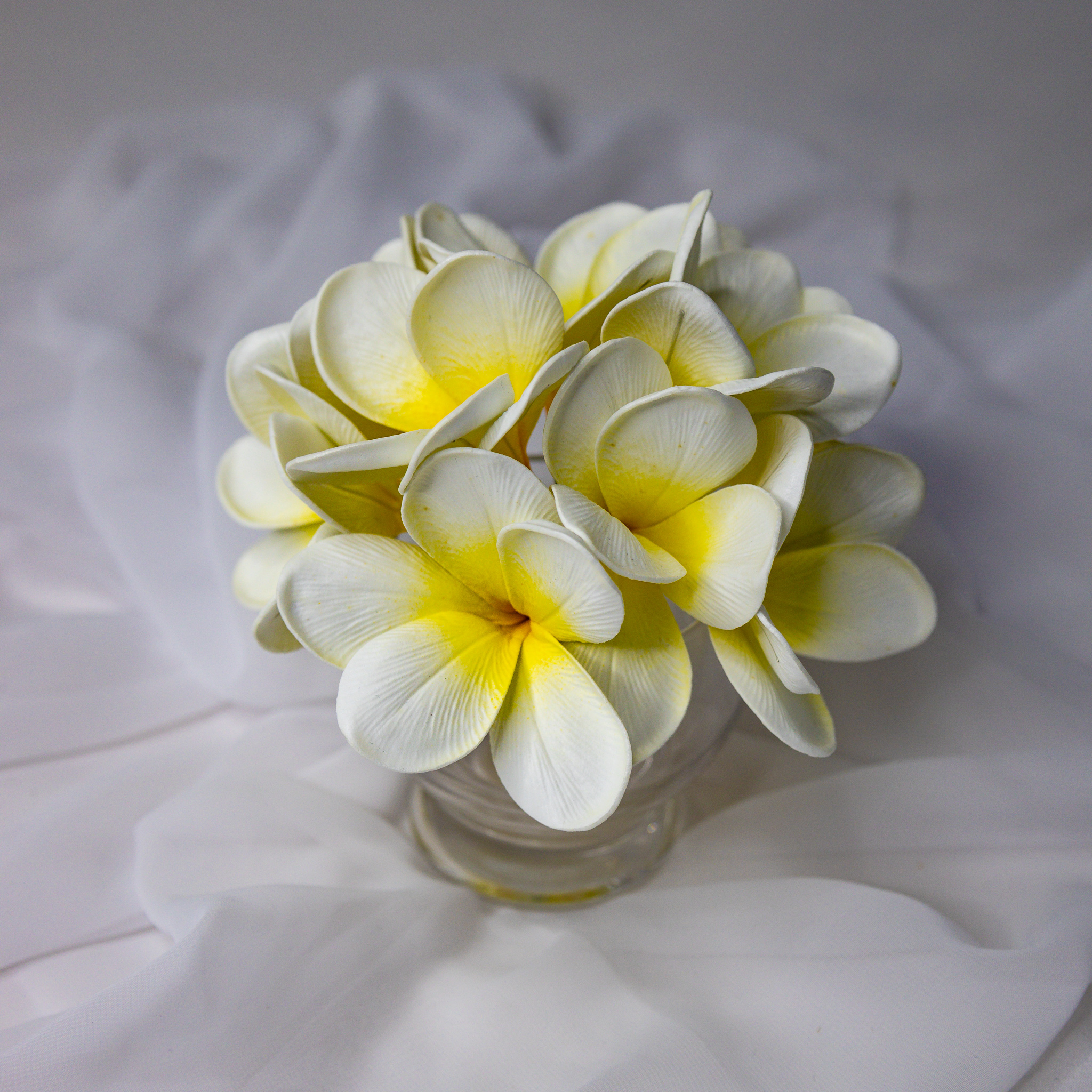White Yellow Frangipani Flowerhead ( 6 Pack )  - Realistic Artificial Flowers
