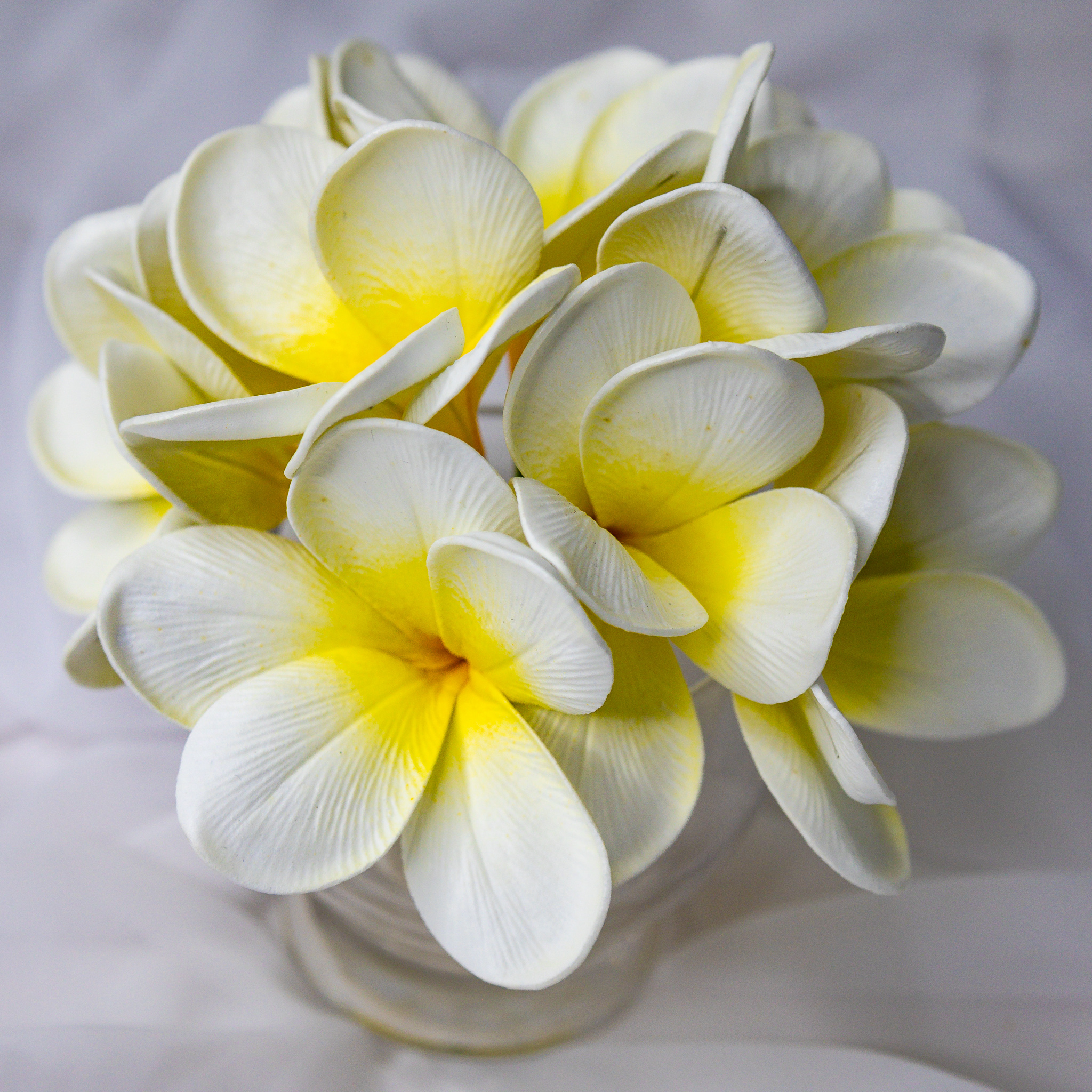 White Yellow Frangipani Flowerhead ( 6 Pack )  - Realistic Artificial Flowers