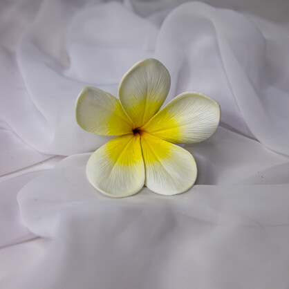White Yellow Frangipani Flowerhead ( 6 Pack )  - Realistic Artificial Flowers