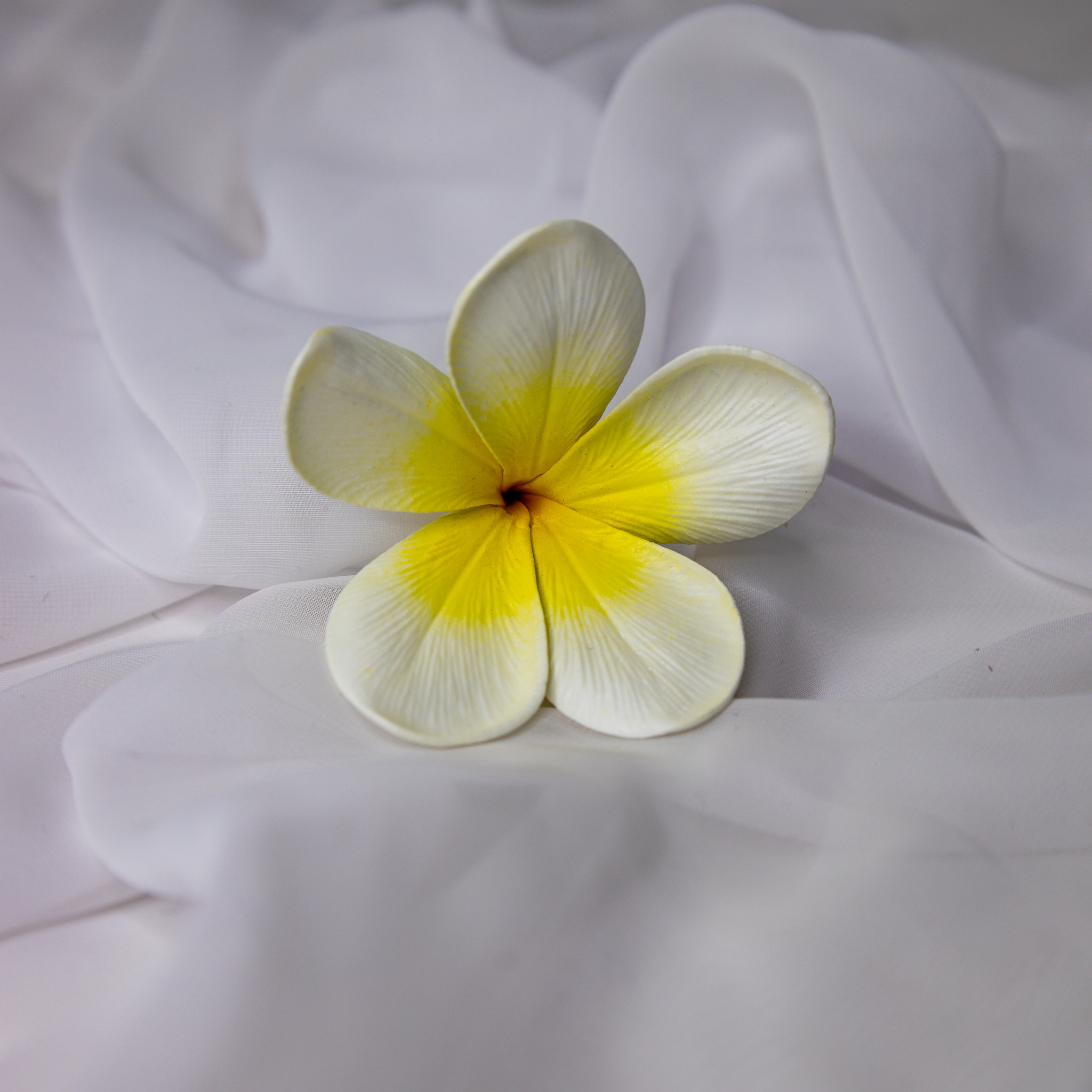 White Yellow Frangipani Flowerhead ( 6 Pack )  - Realistic Artificial Flowers
