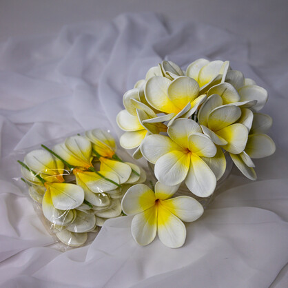 White Yellow Frangipani Flowerhead ( 6 Pack )  - Realistic Artificial Flowers