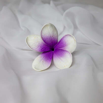 Picasso Frangipani Flowerhead ( 6 Pack ) - Realistic Artificial Flowers