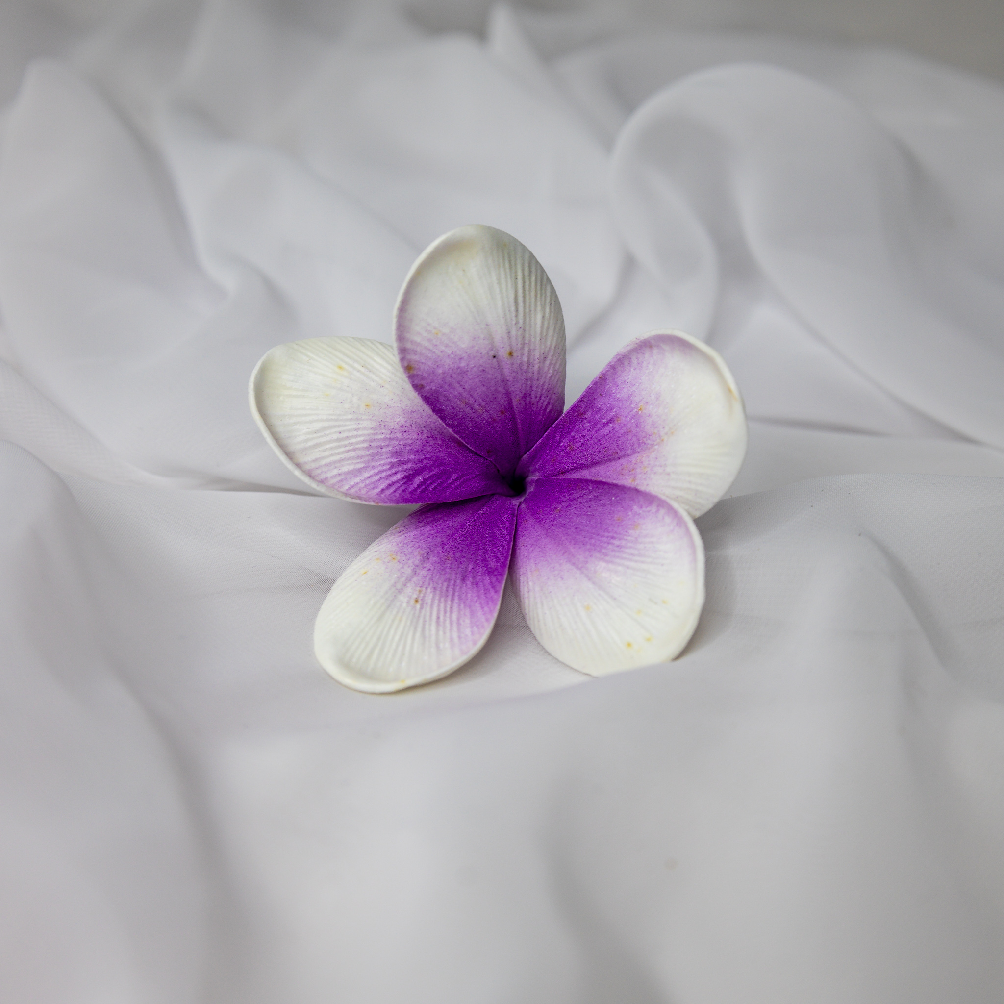 Picasso Frangipani Flowerhead ( 6 Pack ) - Realistic Artificial Flowers