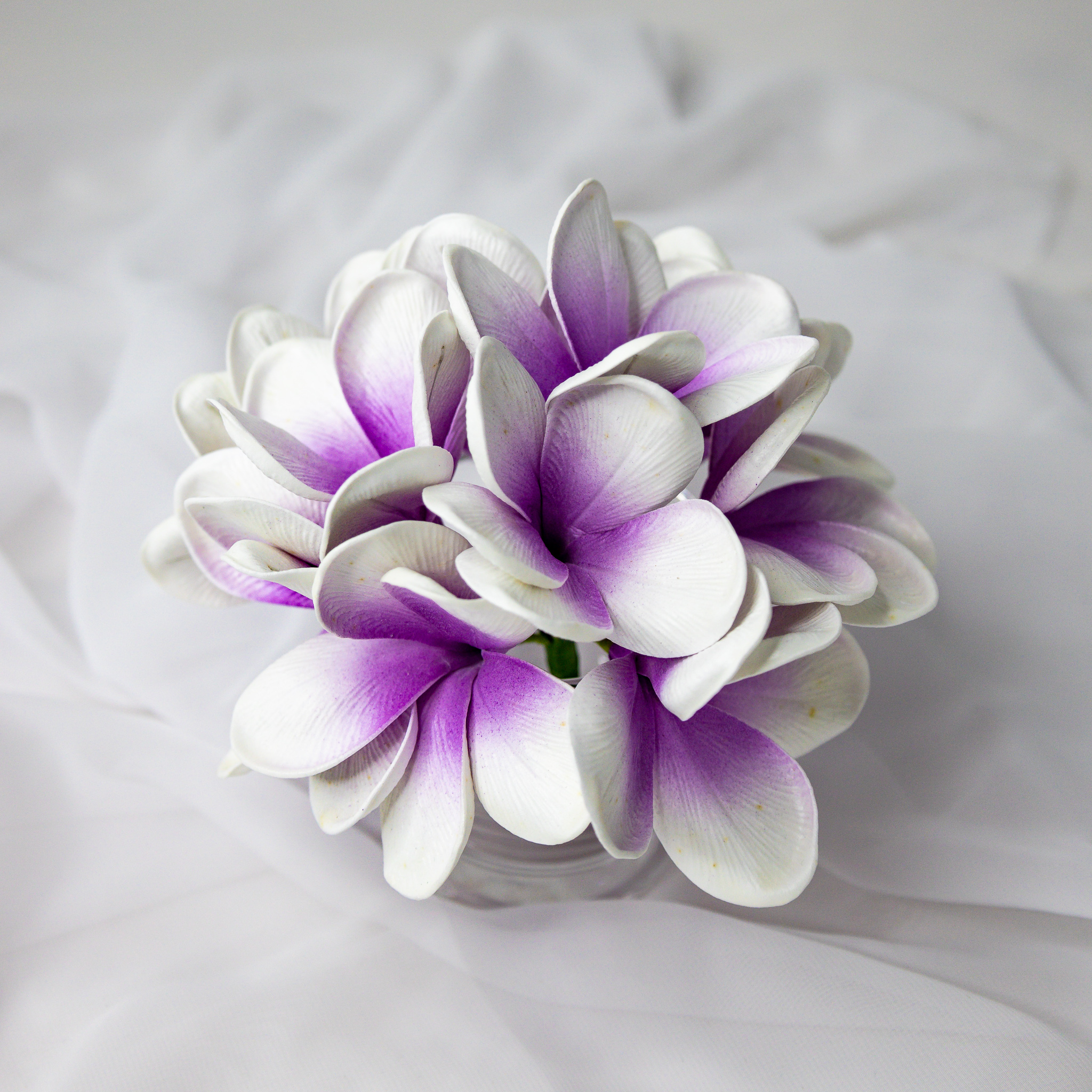 Picasso Frangipani Flowerhead ( 6 Pack ) - Realistic Artificial Flowers
