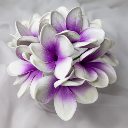 Picasso Frangipani Flowerhead ( 6 Pack ) - Realistic Artificial Flowers