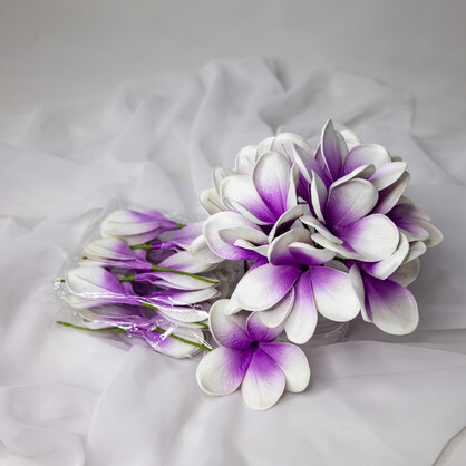 Picasso Frangipani Flowerhead ( 6 Pack ) - Realistic Artificial Flowers