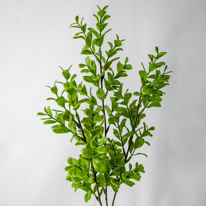Brush Box - Realistic Artificial Flowers and Greenery