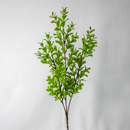 Brush Box - Realistic Artificial Flowers and Greenery