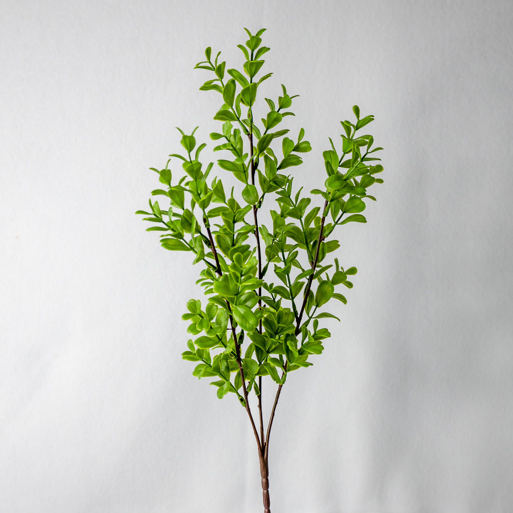 Brush Box - Realistic Artificial Flowers and Greenery