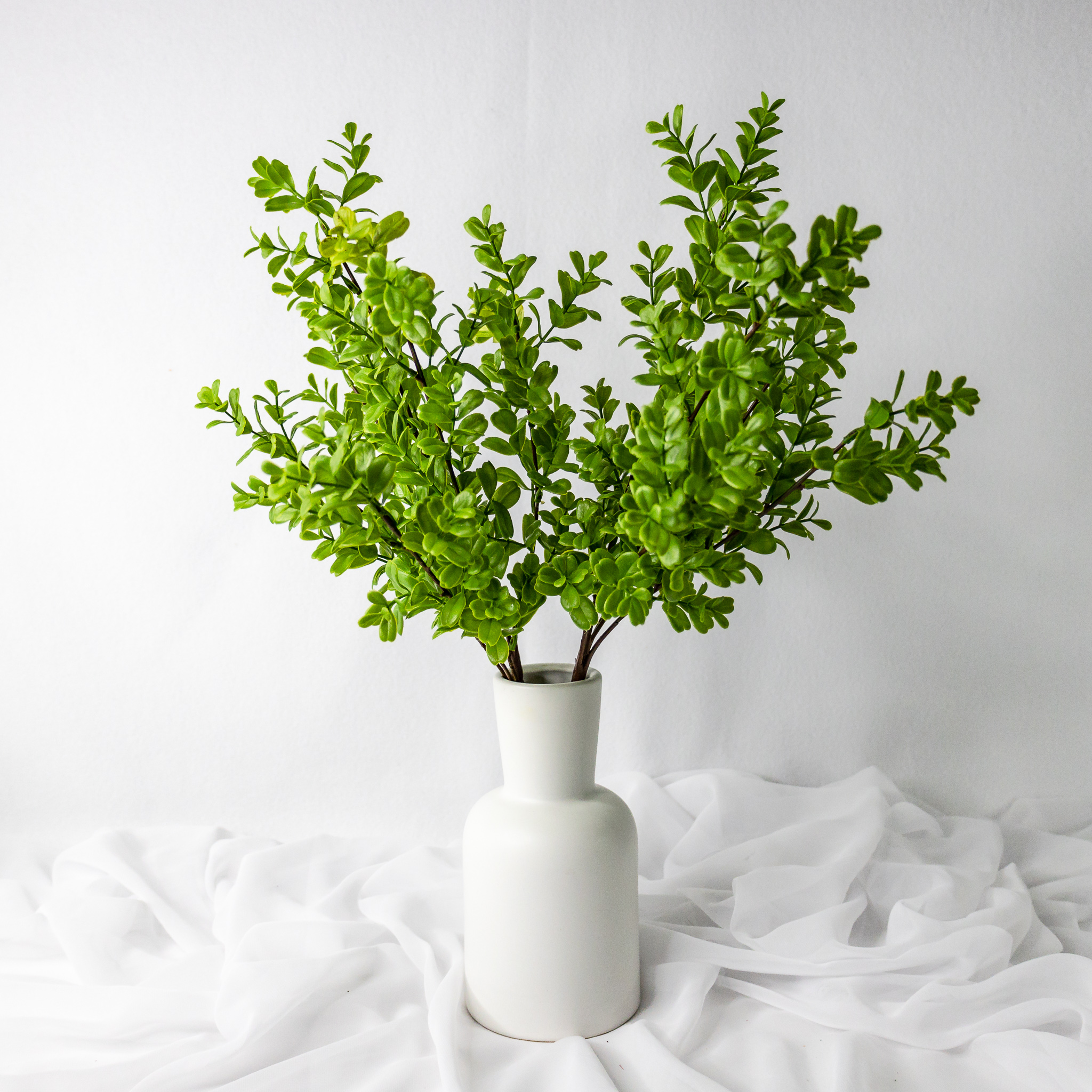 Brush Box - Realistic Artificial Flowers and Greenery