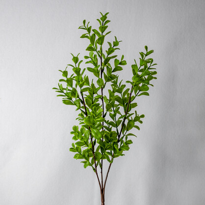 Brush Box - Realistic Artificial Flowers and Greenery
