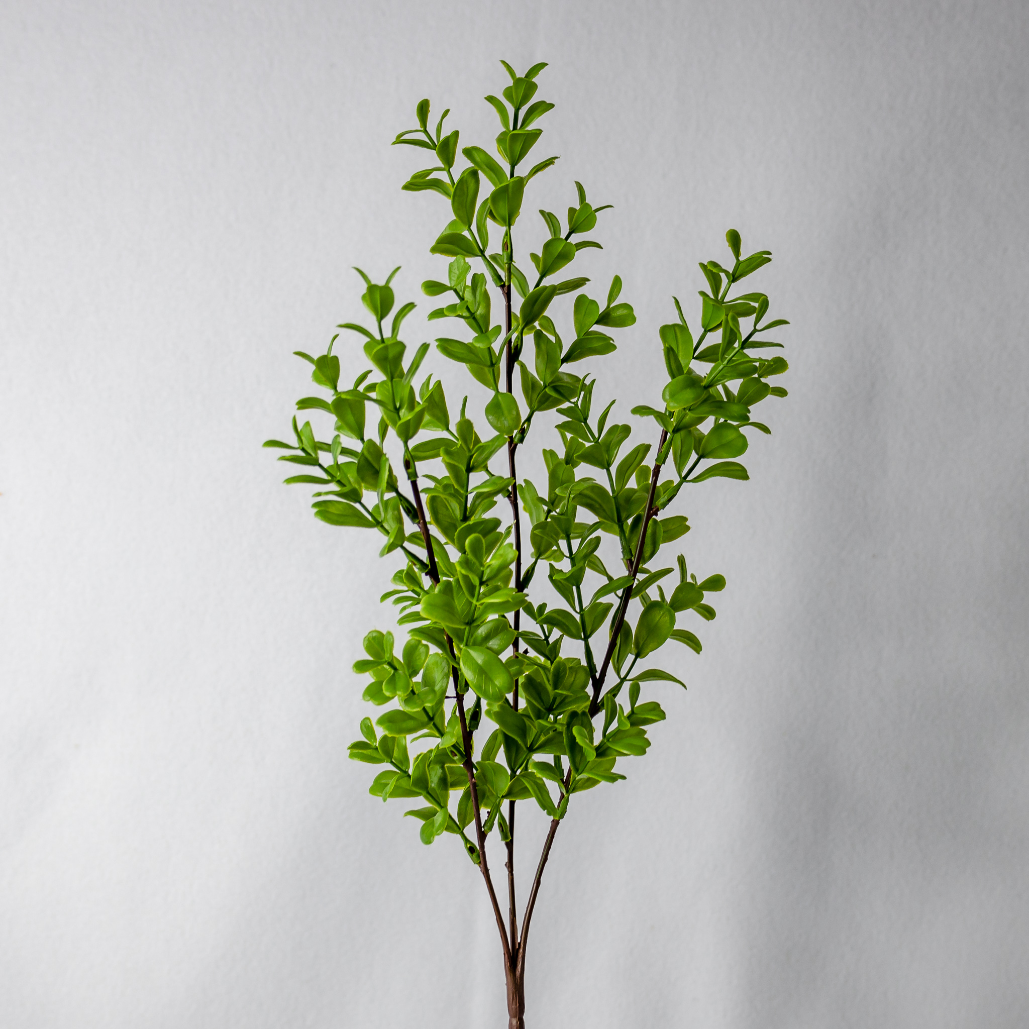 Brush Box - Realistic Artificial Flowers and Greenery