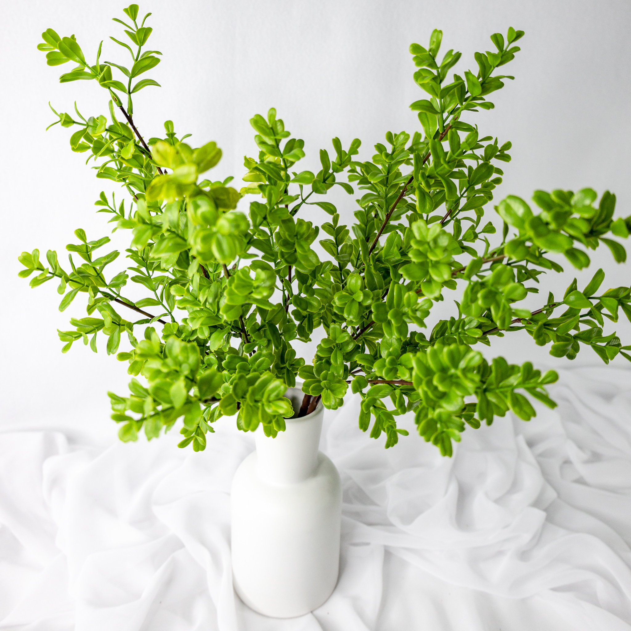 Brush Box - Realistic Artificial Flowers and Greenery
