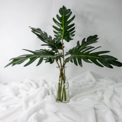 Large Xanadoo Leaf - Realistic Artificial Flowers and Greenery