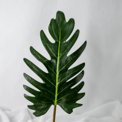 Large Xanadoo Leaf - Realistic Artificial Flowers and Greenery