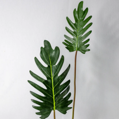Large Xanadoo Leaf - Realistic Artificial Flowers and Greenery