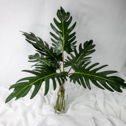 Large Xanadoo Leaf - Realistic Artificial Flowers and Greenery
