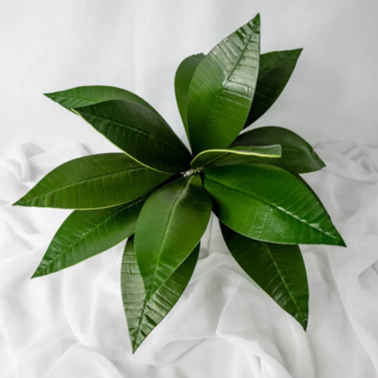 Pointed Frangipani Leaf (12 Pack) - Realistic Artificial Flowers and Greenery