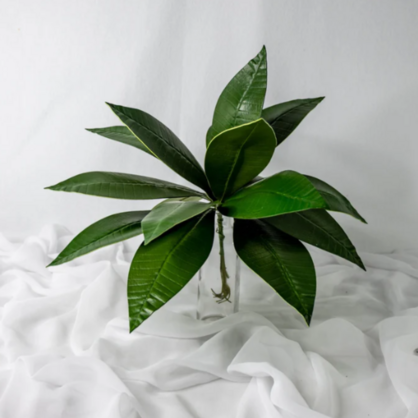 Pointed Frangipani Leaf (12 Pack) - Realistic Artificial Flowers and Greenery