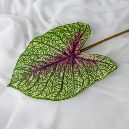 Moss Green Caladium Leaf - Realistic Artificial Flowers and Greenery
